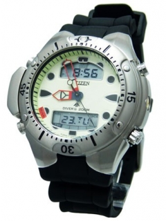 CITIZEN JP1060-01W