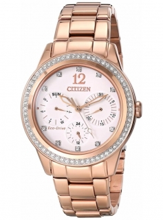 CITIZEN FD2013-50A